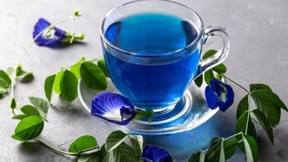 Butterfly Pea Flower: The Vibrant Herbal Wonder for Wellness and Beauty!